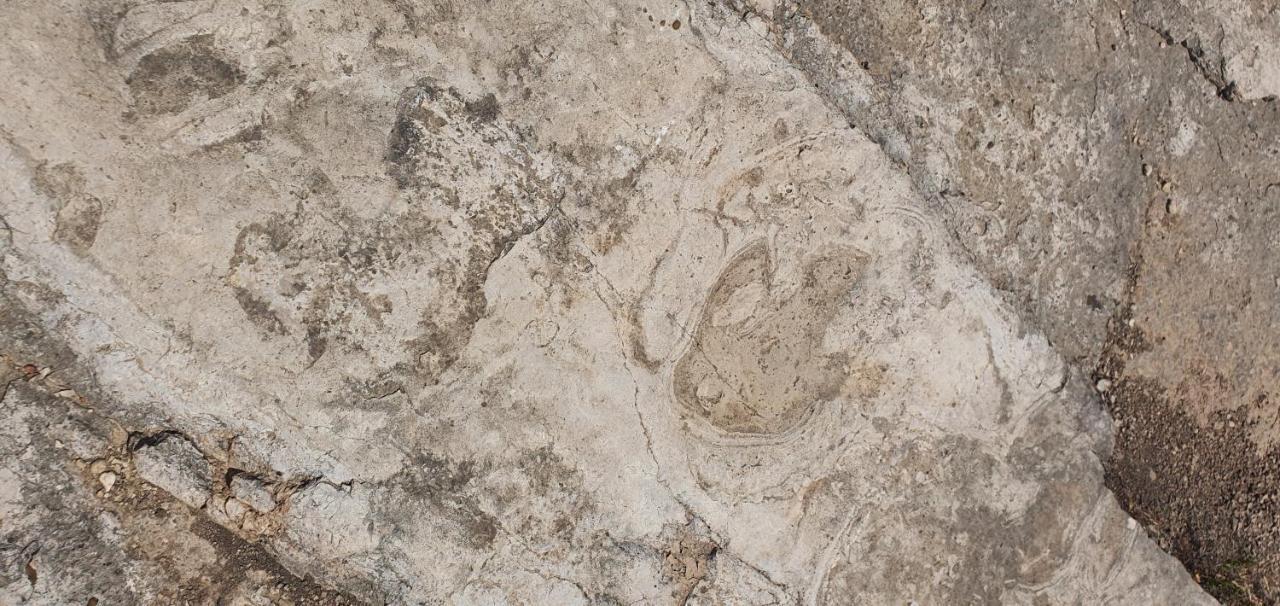 La Chirrichana 2 Bicorp Εξωτερικό φωτογραφία